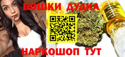 стаф Тула