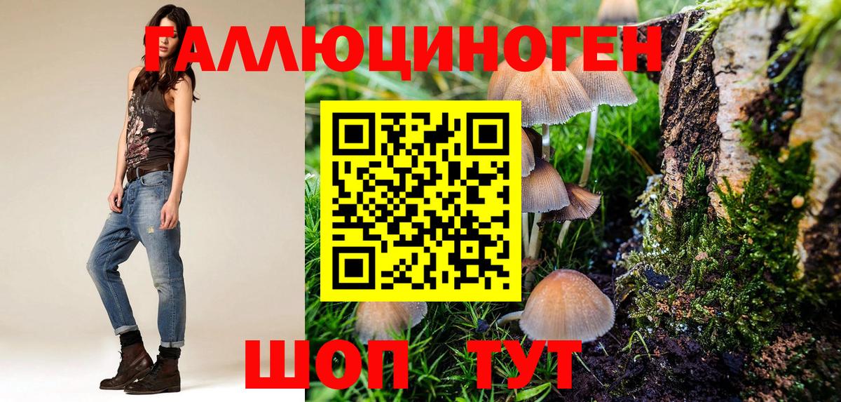 Псилоцибиновые грибы GOLDEN TEACHER Удомля