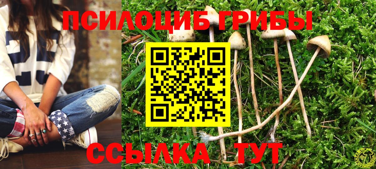 Псилоцибиновые грибы ЛСД  Вход с VPN  где можно купить   Удомля 